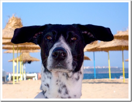 more9-28.09.2007 (66)