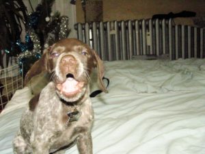 Кледно пеене