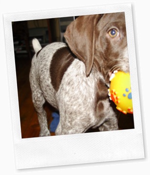 SAMSUNG DIGITAL CAMERA