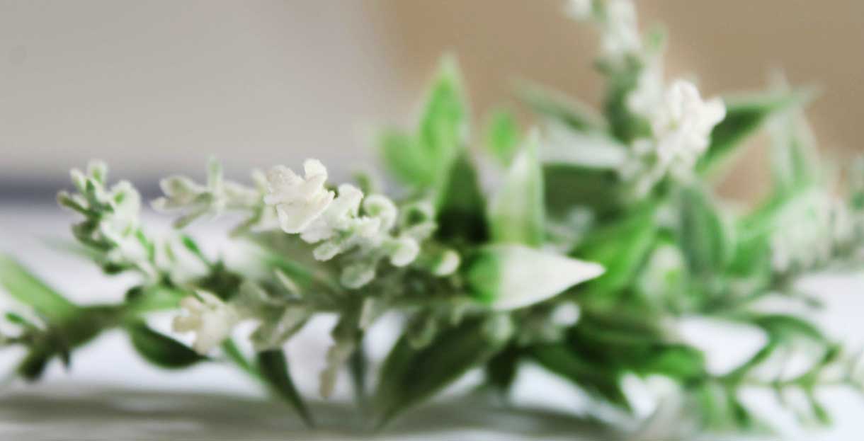 my porridge-my soup-my site